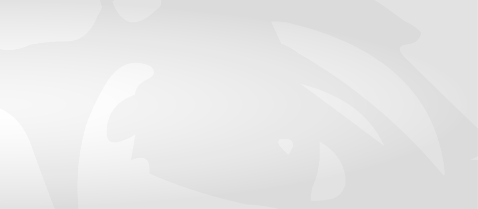 Mo Gabel Resume (PDF)